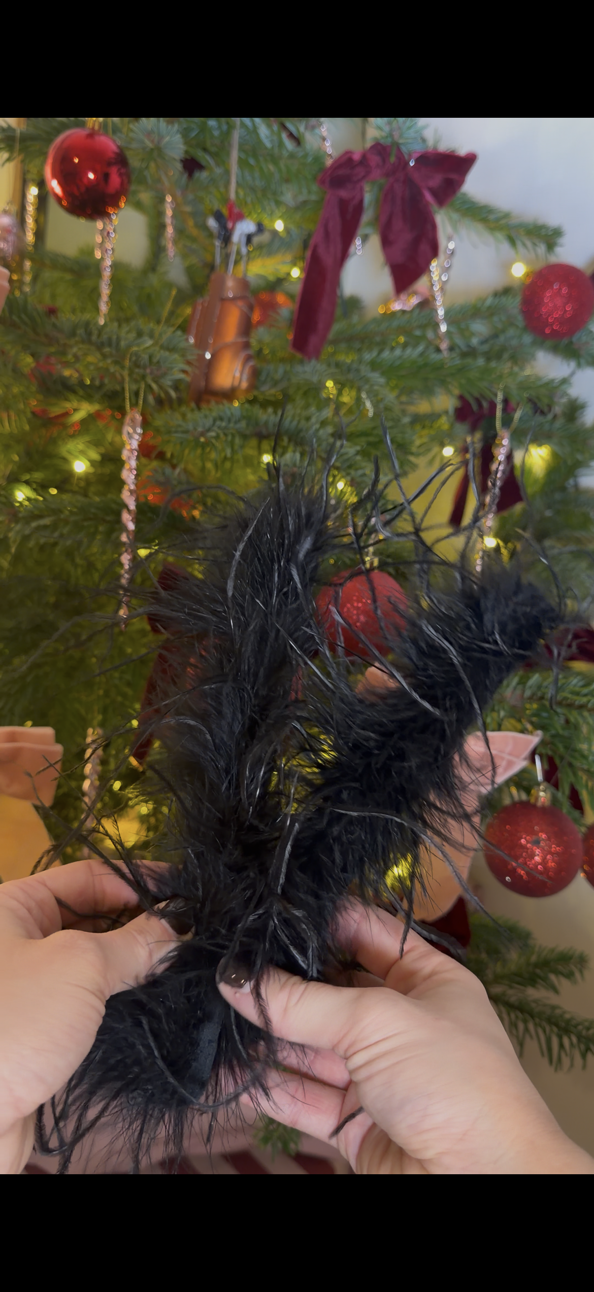 Black Alice Ostrich Feather Cuffs